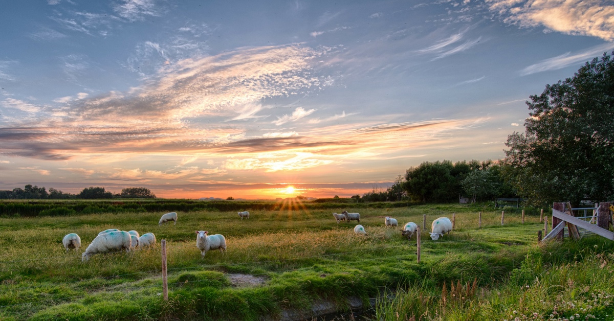 Una Historia De Eternidad
