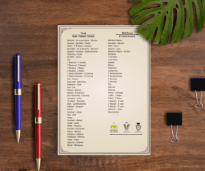 Imagen Nombres Escrituras 2-min